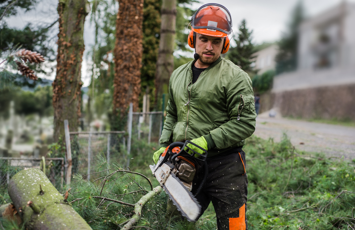 Why using SpruceSpruce for tree trimming service is the best way to get your trees trimmed.